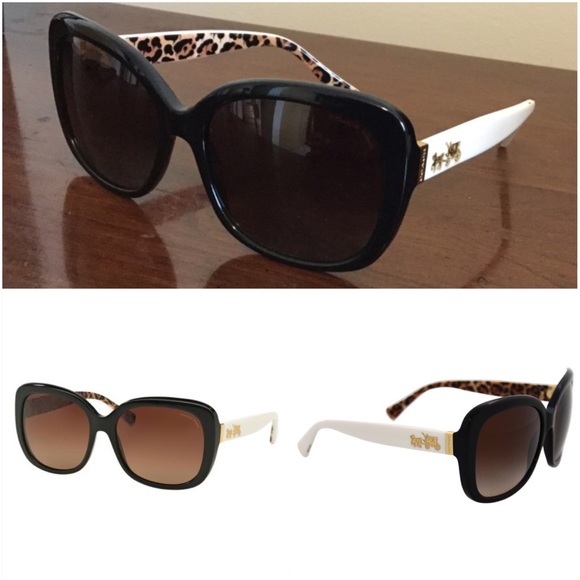 Coach Accessories - COACH Sunglasses Black/Ivory Wild Beast